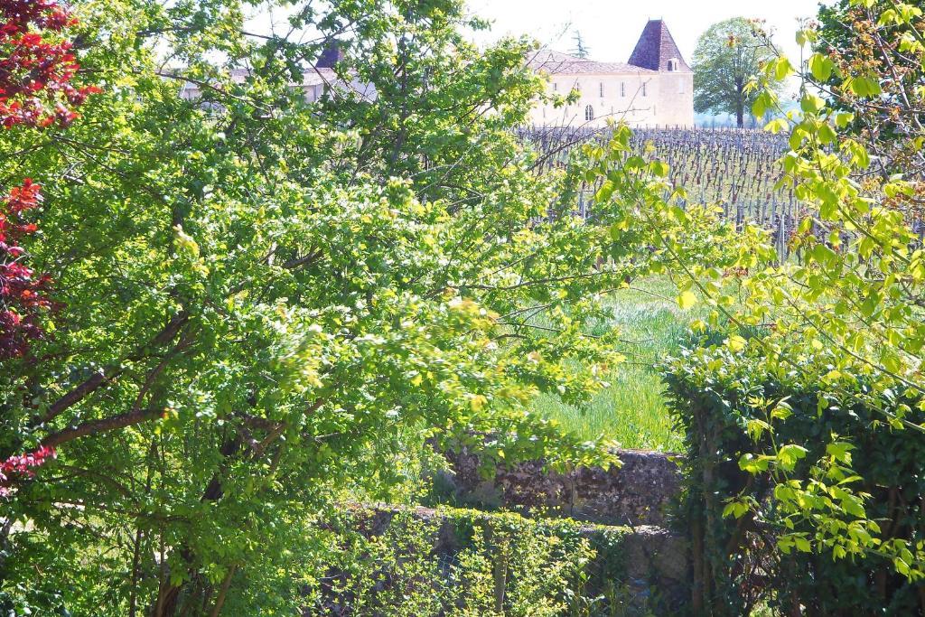 La Petite Madeleine Hotel Castillon-la-Bataille Esterno foto