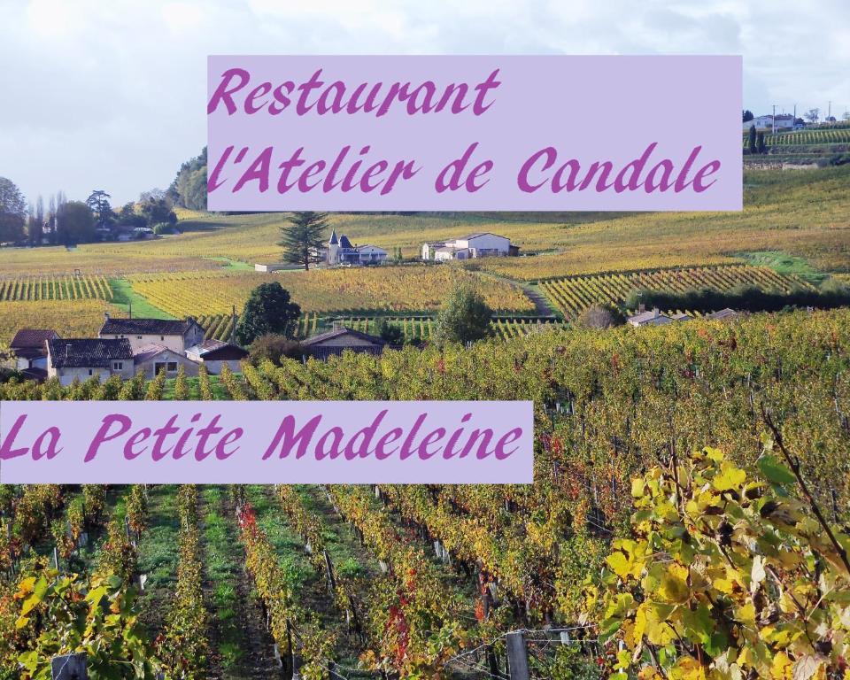 La Petite Madeleine Hotel Castillon-la-Bataille Esterno foto