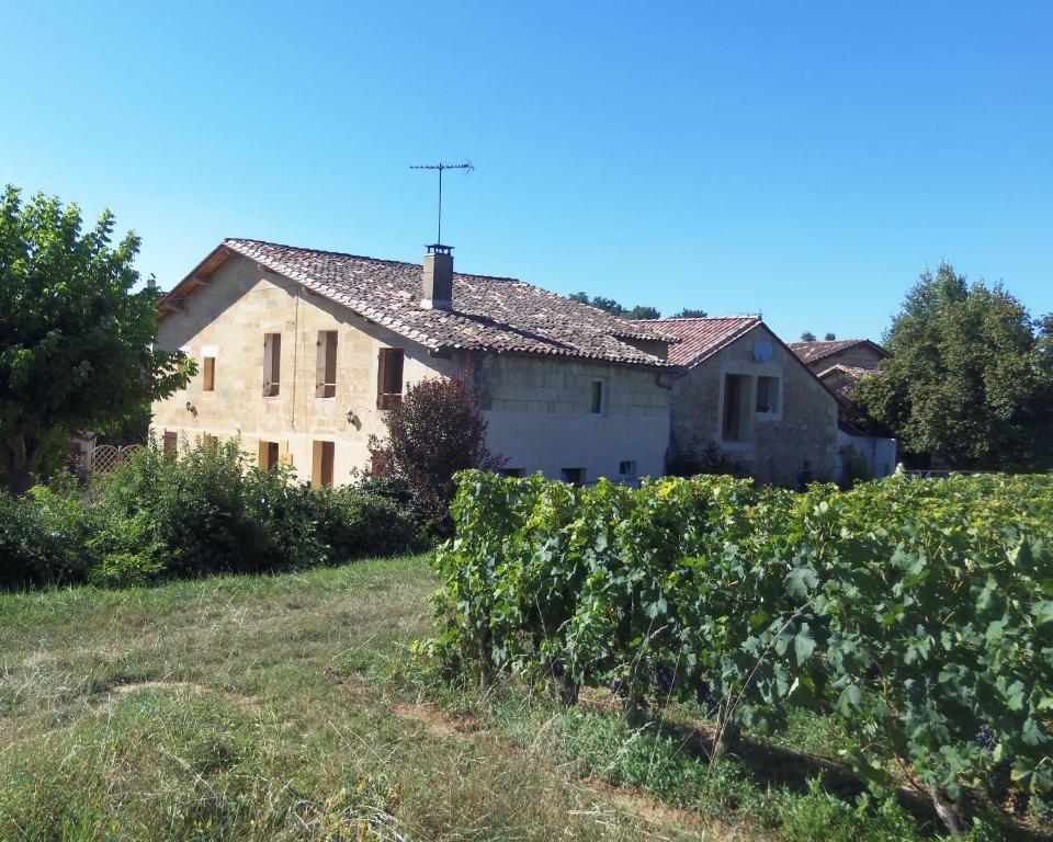 La Petite Madeleine Hotel Castillon-la-Bataille Esterno foto